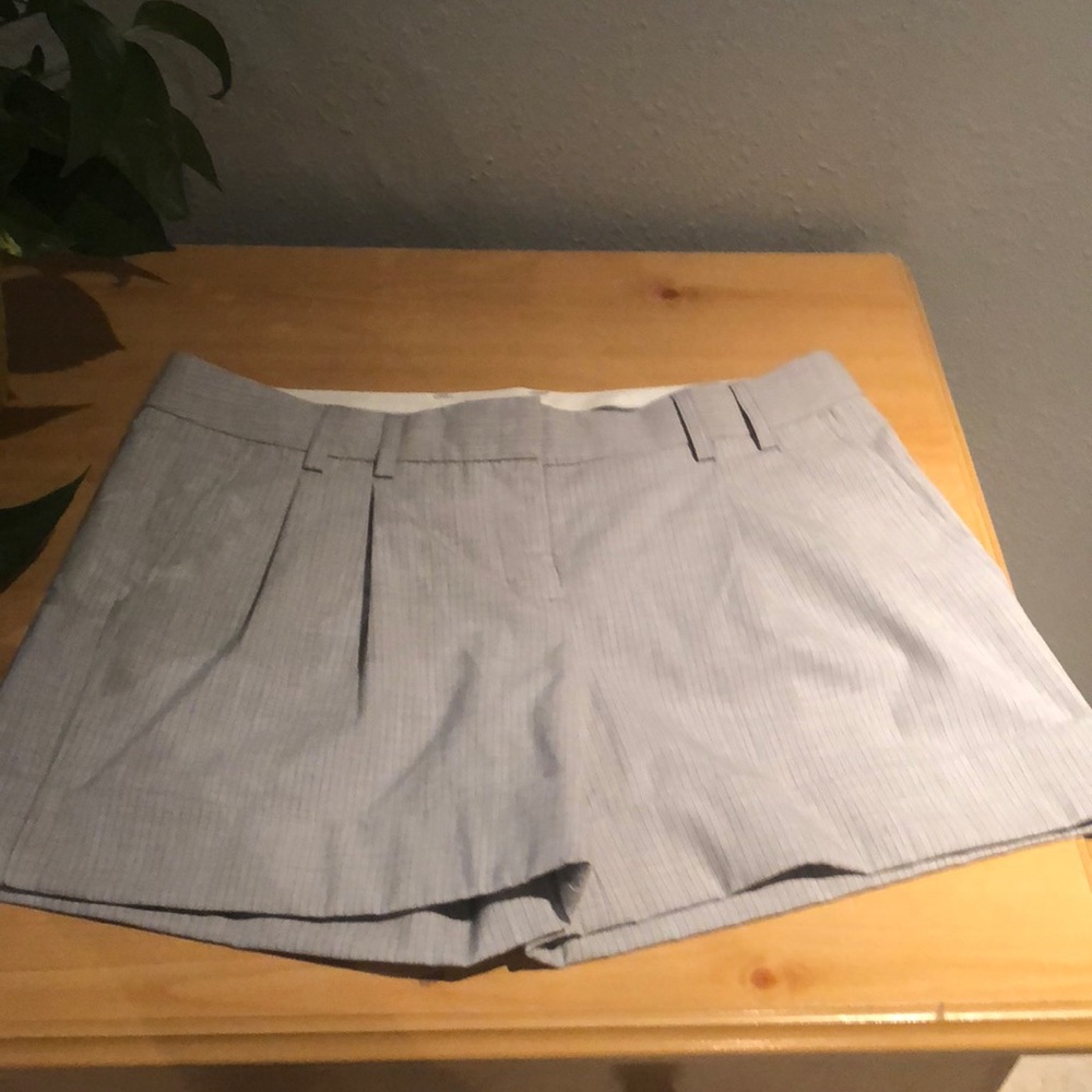 Express Pleated Shorts / Design Studio